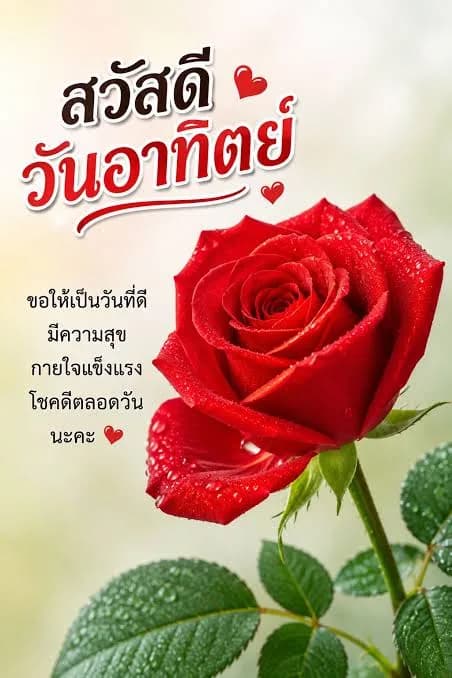 BOLON กรอบโลหะทรงหยดน้ำ